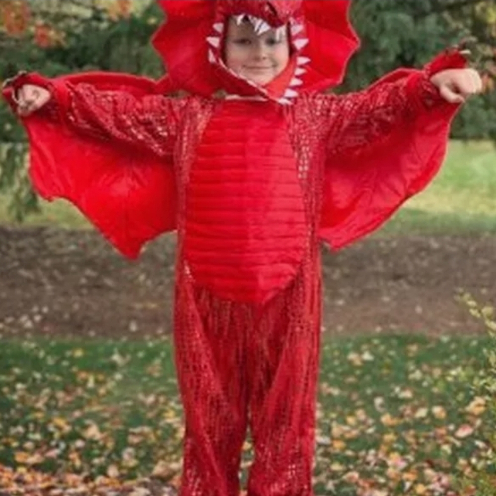 Pottery barn dragon costume